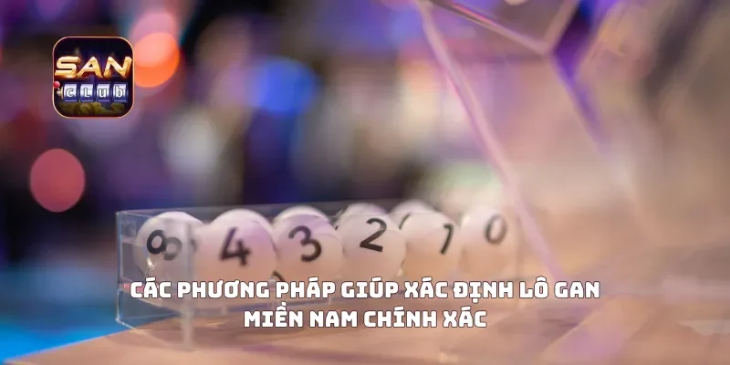 Các phương pháp giúp xác định lô gan miền Nam chính xác