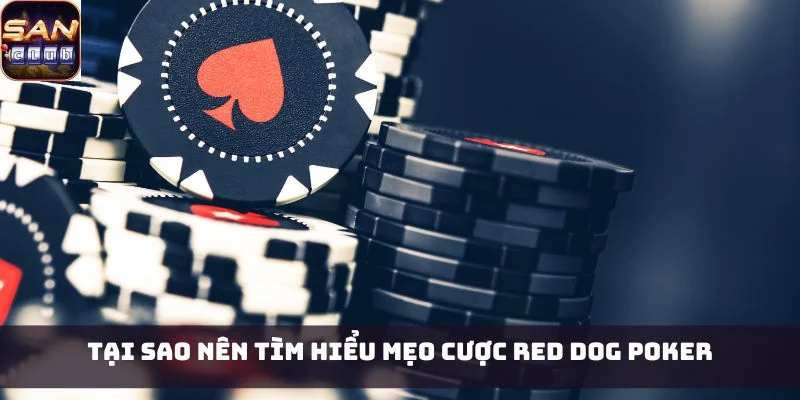 Tại sao nên tìm hiểu mẹo cược Red Dog Poker